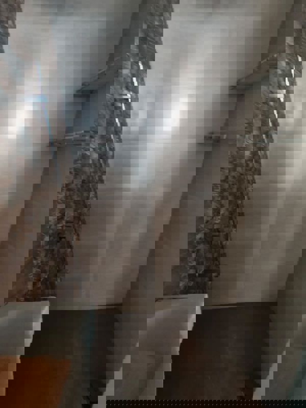 3 BHK 1905 Sq.Ft. Apartment in Raviraj Citadel Empress