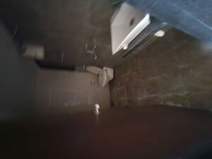 Attached Bathroom in 3 BHK Apartment at Ekta Parksville Phase 2, Virar West – for Sale