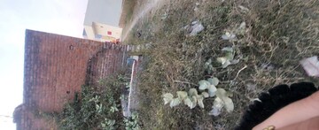  Plot For Sale in Sabhapur