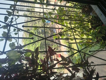 Gym in 1 BHK Apartment at Santacruz East – for Rent