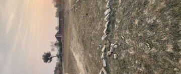 Plot Area in  Plot at Sabhapur – for Sale