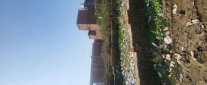  Plot – Exterior View View at Sabhapur - for Sale