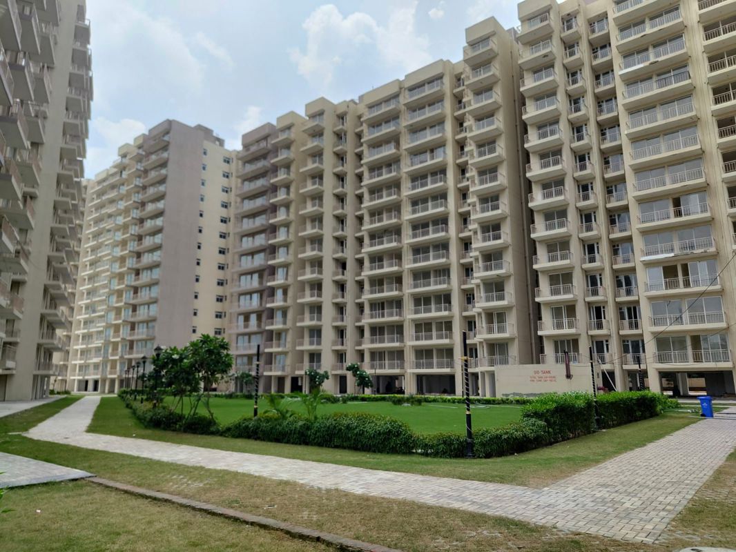 2 BHK Apartment For Rent in Bedarwals Sixty Three Golf Drive