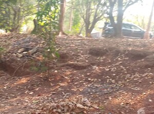 Plot Area in  Land at Chirle – for Sale