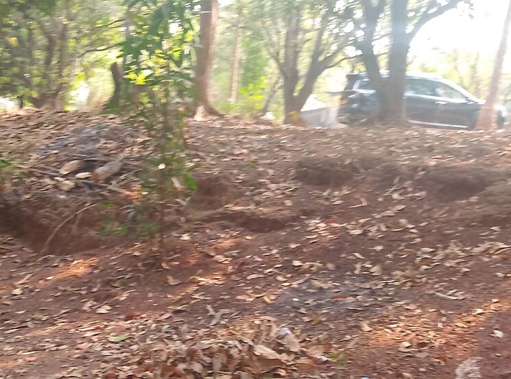 undefined, chirle Commercial Land 1089 Sq.Ft. In Chirle Navi Mumbai 10012160