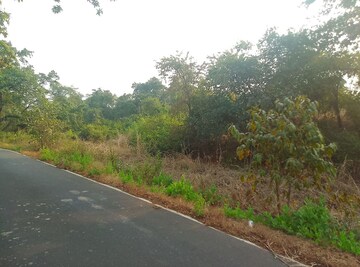 Plot Area in  Plot at Nere – for Sale