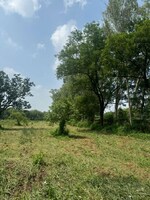 4 Acre Land in Dwarka Expressway