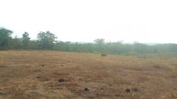  Land For Sale in Vindhane