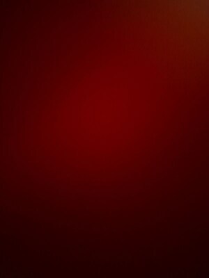 Room in 3.5 BHK Apartment at SRS Residency, Sector 88 – for Rent