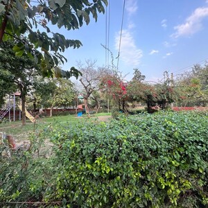 3 BHK Independent House – Garden View at Sector 12 Panchkula - for Sale