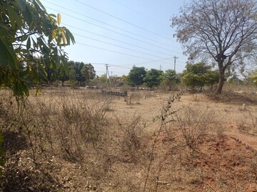 Plot Area in  Plot at Thumukunta – for Sale
