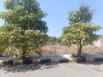  Plot For Sale in Thumukunta