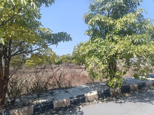 Plot Area in  Plot at Thumukunta – for Sale