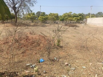 Plot Area in  Plot at Thumukunta – for Sale
