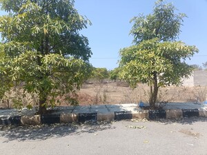 Plot Area in  Plot at Thumukunta – for Sale