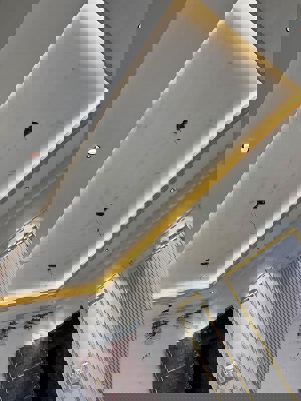 3.5 BHK + Study Room 1800 Sq.Ft. Apartment in Saviour Greenisle