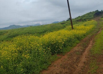  Plot For Sale in Panshet