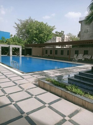 Swimming Pool in 3 BHK Builder Floor at Sector 3 – for Rent