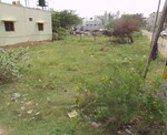55 Sq.Yd. Plot in Sabhapur