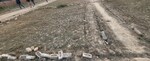 60 Sq.Yd. Plot in Sabhapur