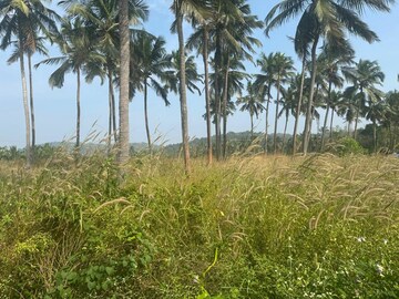 Plot Area in  Plot at Kolazhy – for Sale