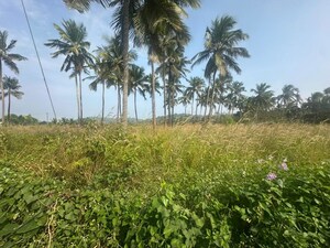  Plot – Garden View at Kolazhy - for Sale