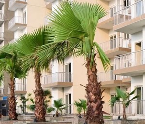 2.5 BHK Apartment – Exterior View View at Fusion Homes, Tech Zone 4 Greater Noida - for Sale