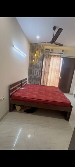1 BHK Independent House For Rent in Sector 14
