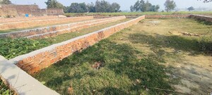 Plot Area in  Plot at Motiram Adda – for Sale