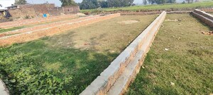 Plot Area in  Plot at Motiram Adda – for Sale