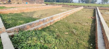 Plot Area in  Plot at Motiram Adda – for Sale