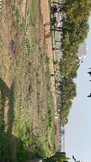  Plot – Garden View at Rambha Corona Greens, Sohna Sector 5 - for Sale