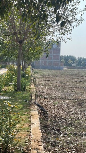 Plot Area in  Plot at Rambha Corona Greens, Sohna Sector 5 – for Sale