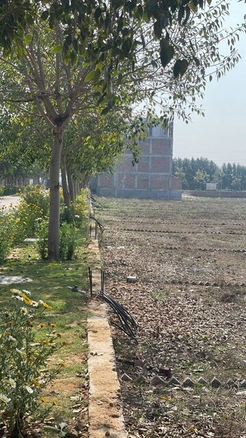 Plot Area in  Plot at Rambha Corona Greens, Sohna Sector 5 – for Sale