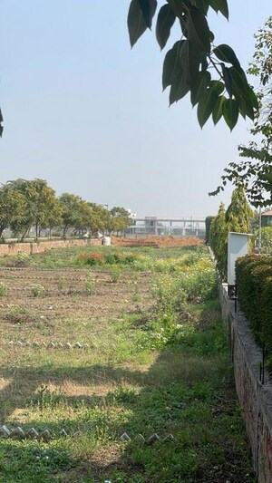  Plot – Garden View at Rambha Corona Greens, Sohna Sector 5 - for Sale