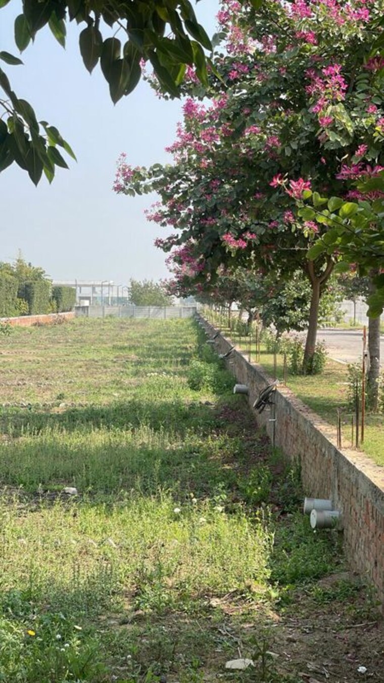 undefined, rambha-corona-greens  113 Sq.Yd. Plot In Sohna Sector 5 Gurgaon 10013222