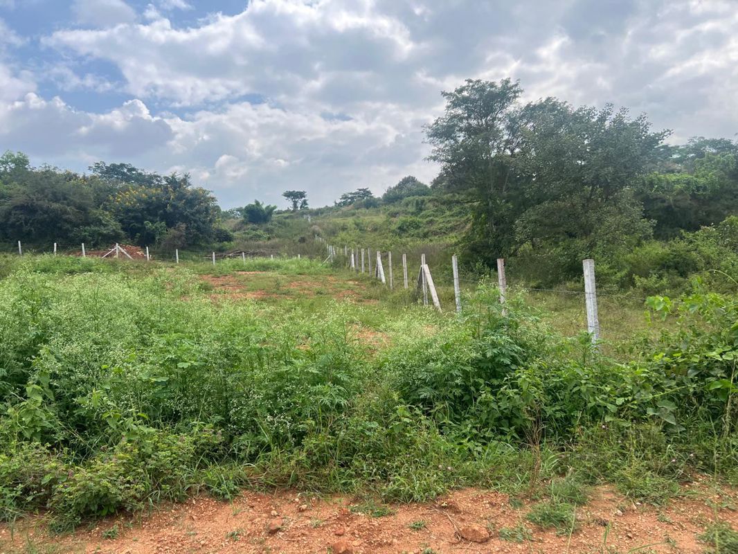 Plot For Sale in Vishweshwaraiah Layout
