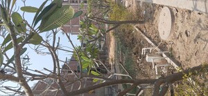  Plot – Exterior View View at Pyramid Spring Valley, Sohna Sector 35 - for Sale