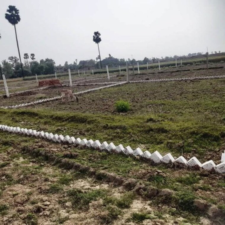 undefined, bihta  1200 Sq.Ft. Plot In Bihta Patna 10013373