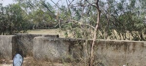 Plot Area in  Plot at Ganga Nagar – for Sale