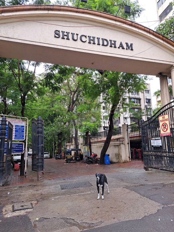 1 BHK + Pooja Room,Servant Room,Study Room,Store Room Apartment For Sale in Suchidham Complex