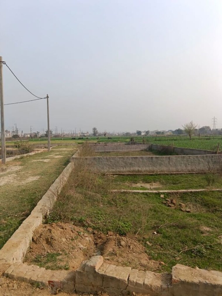 undefined, roza jalalpur  50 Sq.Yd. Plot In Roza Jalalpur Greater Noida 10013657