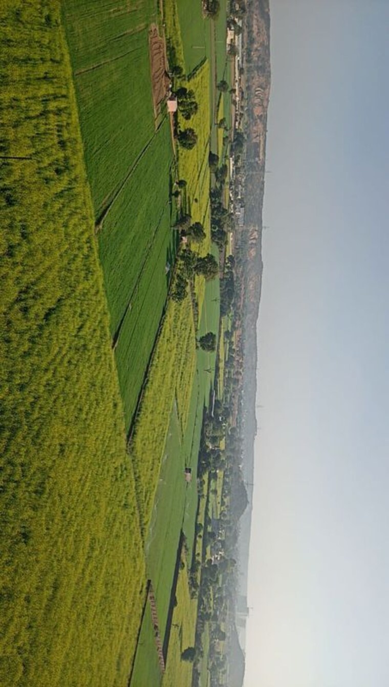 Master Plan, umang-winter-hills 3.5 Bedroom 2077 Sq.Ft. Apartment In Sector 77 Gurgaon 10013801
