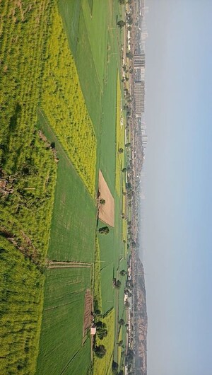 Swimming Pool in 3.5 BHK Apartment at Umang Winter Hills, Sector 77 – for Sale