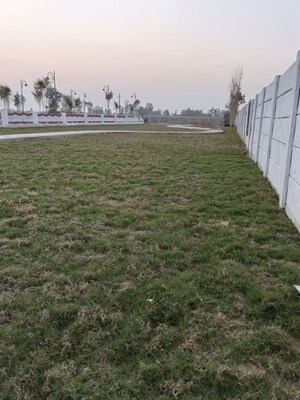 Plot Area in  Plot at Krishna Iscon Valley, Gosainganj – for Sale
