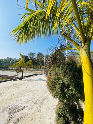  Plot – Garden View at Mohabbewala - for Sale