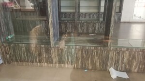  Office Space For Rent in Kristi Villa, Chinar Park