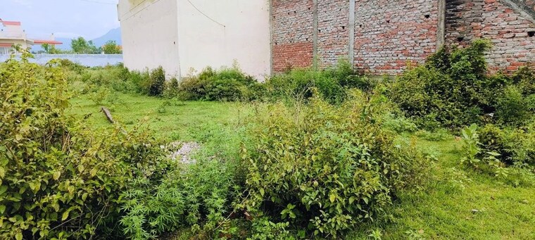 undefined, shyampur  100 Sq.Yd. Plot In Shyampur  Rishikesh 10014001