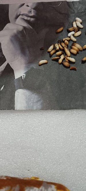 Furnished Amenities in 3 BHK Apartment at Parsvnath Exotica, Sector 53 – for Sale