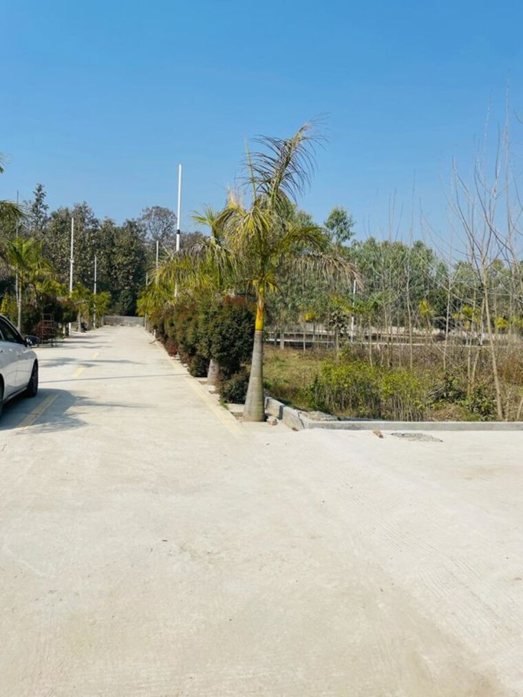 undefined, mohabbewala  145 Sq.Yd. Plot In Mohabbewala Dehradun 10014298